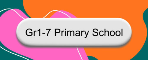 gr1 7 Primary School